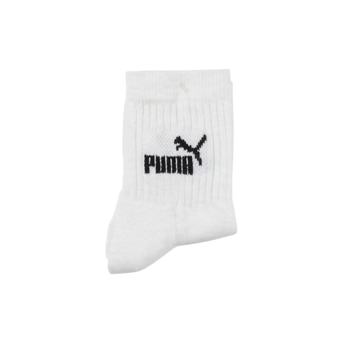 puma kaltses astragaloy (4)